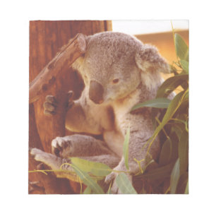 Bloco De Notas Amor Koala