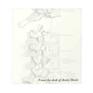 Bloco De Notas Anatomia Vintage Vértebras