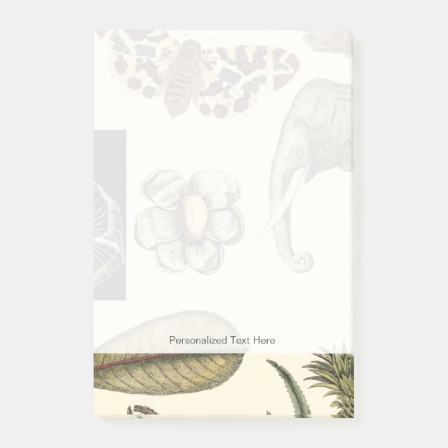 Bloco De Notas Animais Agrupados Pintados em Fundo de Nata (Frente)