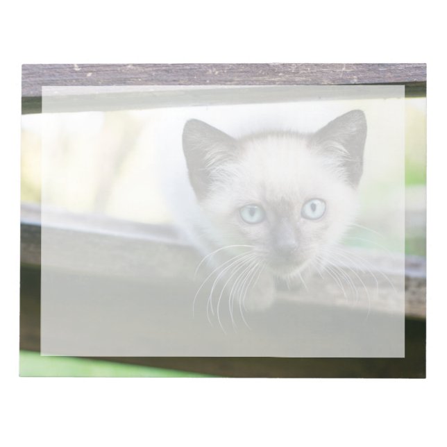 Bloco De Notas Animais Bebês Mais Fofos | Gatinho Siamês 2 (Frente)