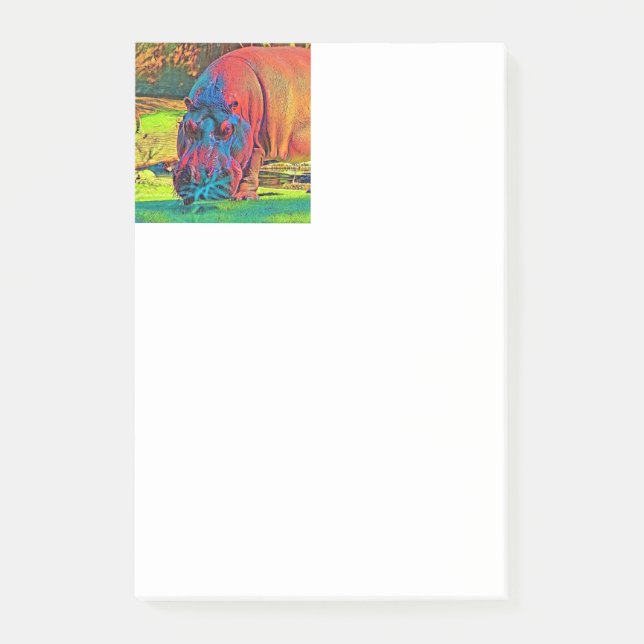Bloco De Notas AnimalColor_Hippo_004 (Frente)