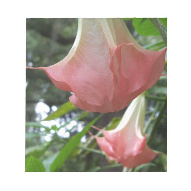 Bloco De Notas Anjos cor-de-rosa trombetam flores (Frente)