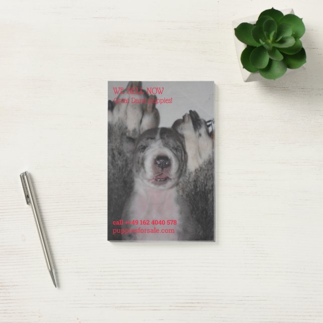 Bloco De Notas Anotações de venda de cachorro (Escritótio)