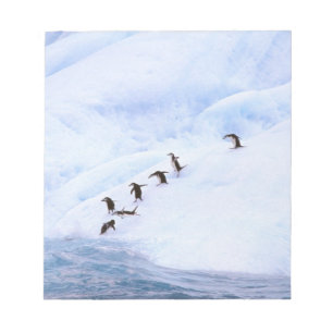 Bloco De Notas Antártida, Península Antártica. Pinguim-de-barbich