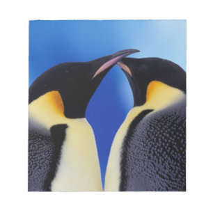 Bloco De Notas Antártida, Pinguins-imperadores