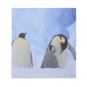 Bloco De Notas Antártida. Pinguins-imperadores e filhote