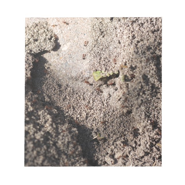 Bloco De Notas Ants Go Marching (Frente)