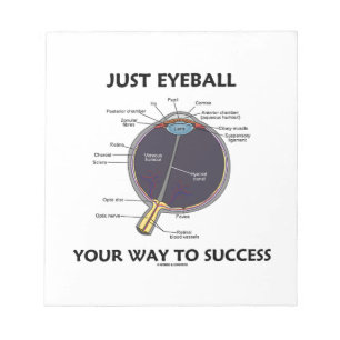 Bloco De Notas Apenas Eyeball sua maneira ao sucesso (a anatomia