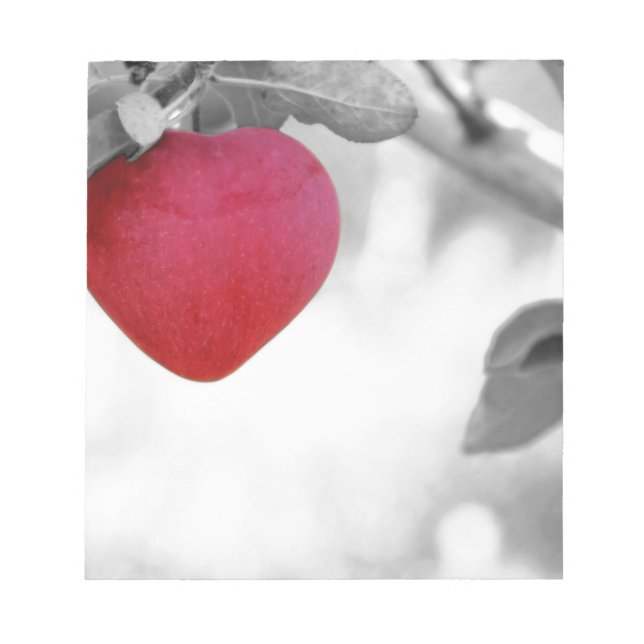 Bloco De Notas Apple (Frente)