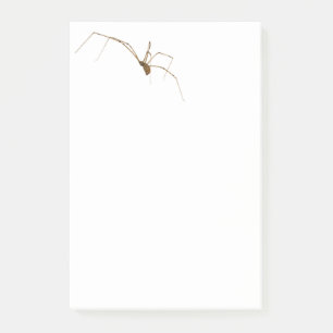 Bloco De Notas Aranha
