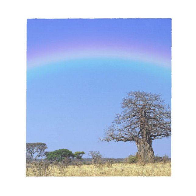 Bloco De Notas Arco-íris e árvore baobá africano, Adansonia (Frente)