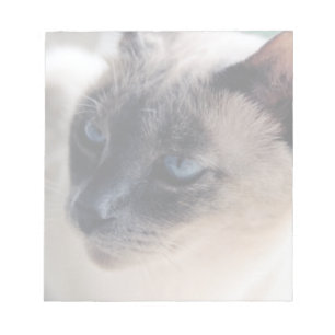Bloco de notas arisco do gato Siamese