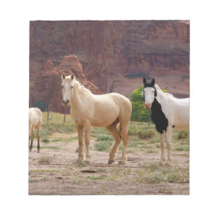 Bloco De Notas Arizona, Reserva Indígena Navajo, Chinle,