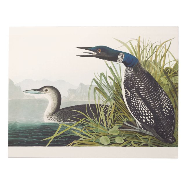 Bloco De Notas Arte da Natureza do Pássaro Mergulhão-comum de Aud (Frente)
