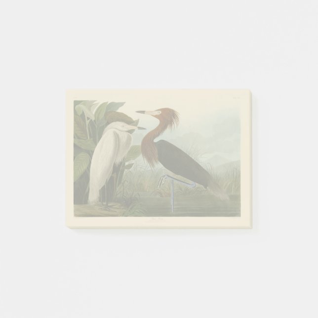 Bloco De Notas Arte de Pássaro: Gravura do Garça Roxa de Audubon: (Frente)