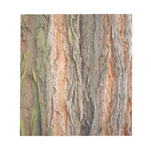 Bloco De Notas árvore antiga (Frente)