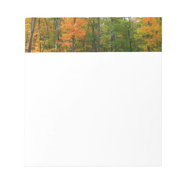 Bloco De Notas Árvores de Bordo Outono Fotografia da Natureza (Frente)
