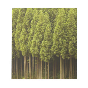 Bloco De Notas Árvores de cedro de Koya Sugi