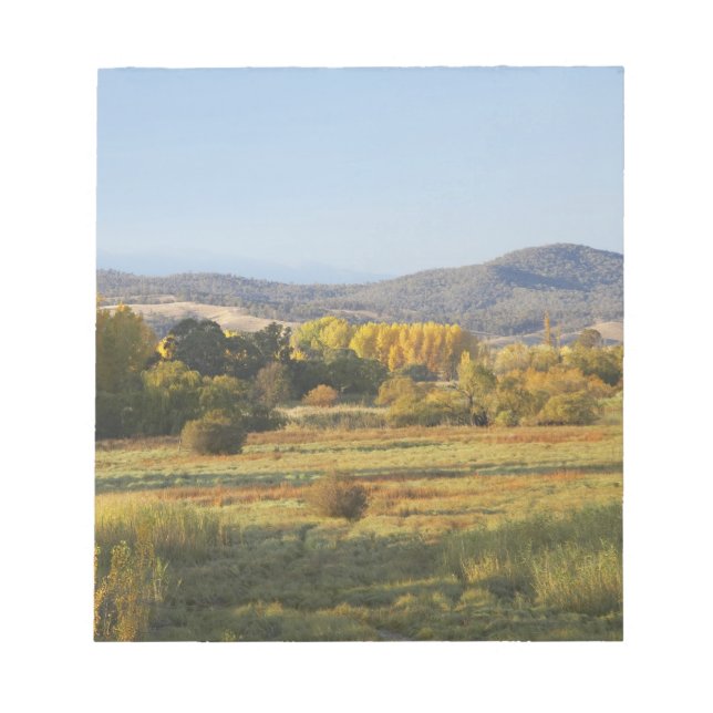 Bloco De Notas Árvores de Outono, Khancoban, Montanhas Nevadas, N (Frente)