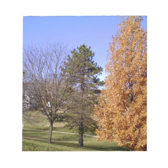 Bloco De Notas Árvores de queda (Frente)