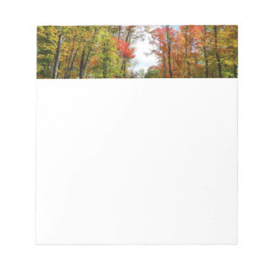 Bloco De Notas Árvores de queda e fotografia natural do outono do