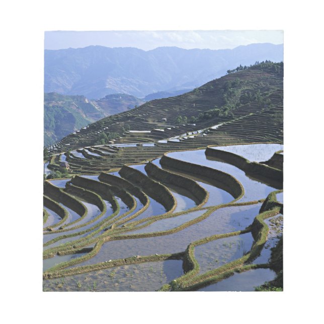 Bloco De Notas Ásia, China, Yunnan, Yuanyang. Dissipado (Frente)