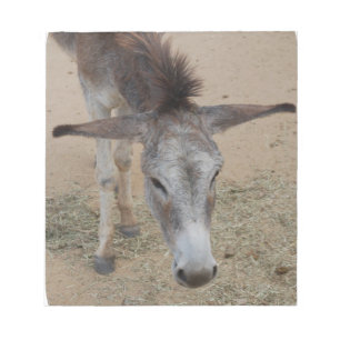 Bloco De Notas Asno orelhudo longo