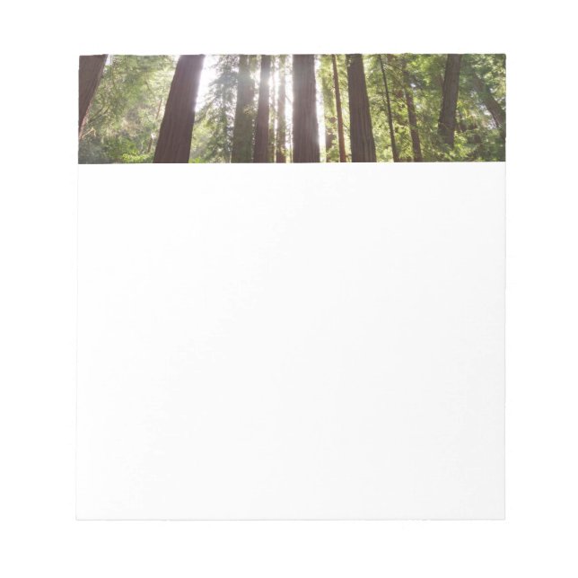 Bloco De Notas Até Sequoias de Manhã (Frente)