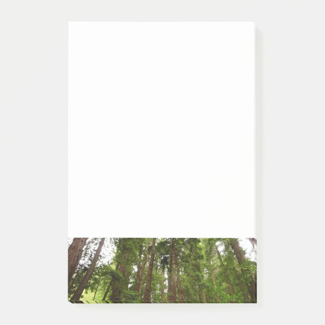 Bloco De Notas Até Sequoias Eu no Monumento Nacional de Muir Wood (Frente)