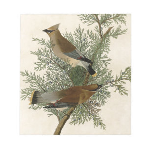 Bloco De Notas Audubon Cedar Waxwing Bird