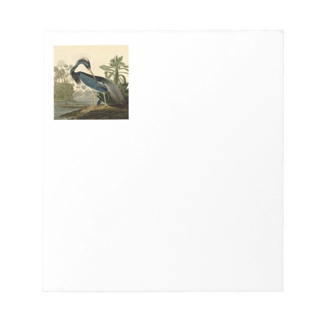 Bloco De Notas Audubon Louisiana Heron Birds América Art (Frente)