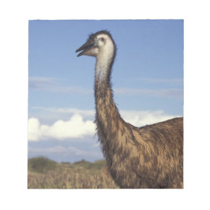Bloco De Notas Austrália, Austrália Ocidental. Emu (Dromaius)