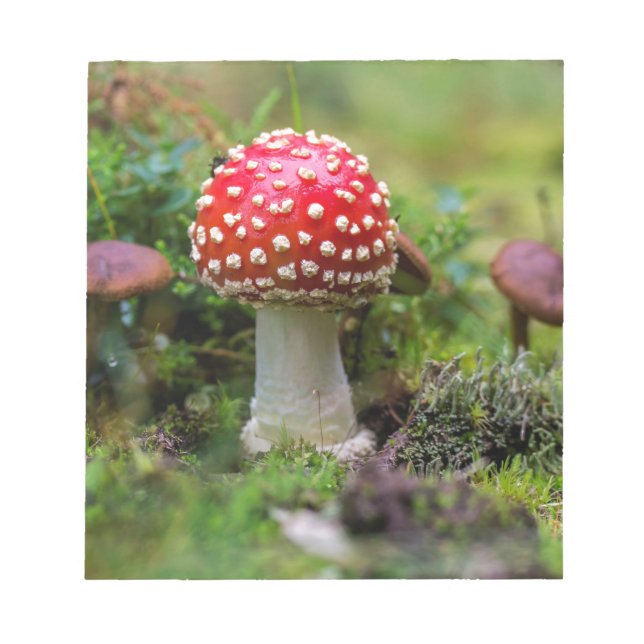 Bloco De Notas Autumn Beauty (Frente)