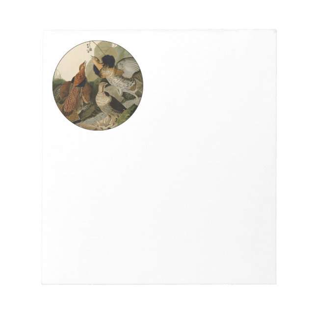 Bloco De Notas Ave de Jogo de Audubon do Agrupamento Rachado (Frente)