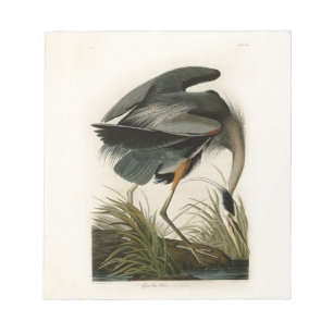 Bloco De Notas Aves Azuis-Heronárias do Excelente Audubon