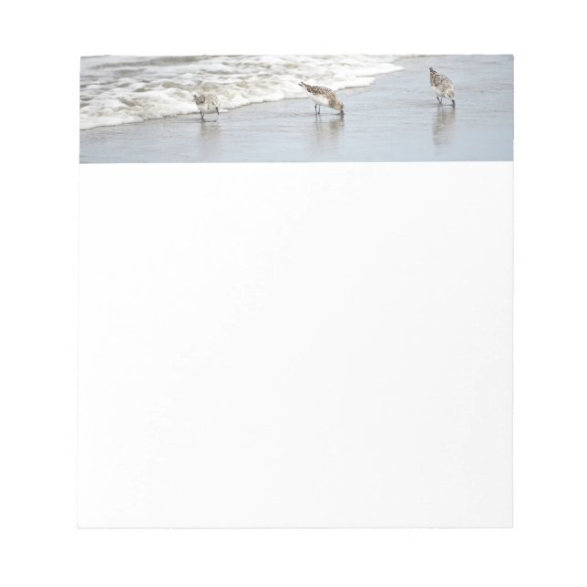Bloco De Notas Aves de Praia nas Notas do Surf (Frente)