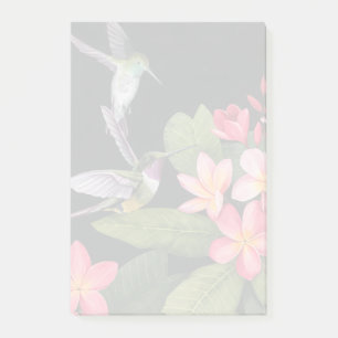 Bloco De Notas Aves Hummingaves Na Plumeria