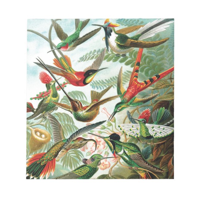 Bloco De Notas Aves-múmias por Ernst Haeckel (Frente)