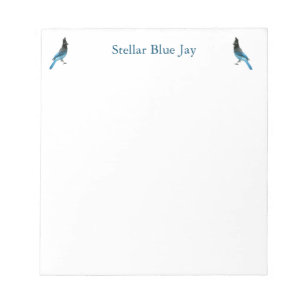 Bloco de notas azul-jay estelar
