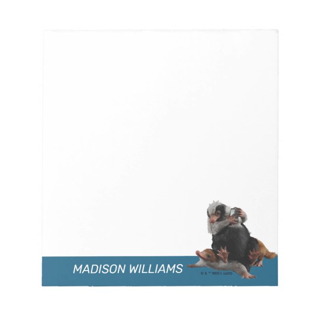 Bloco De Notas Baby Nifflers Encontra Prêmio (Frente)