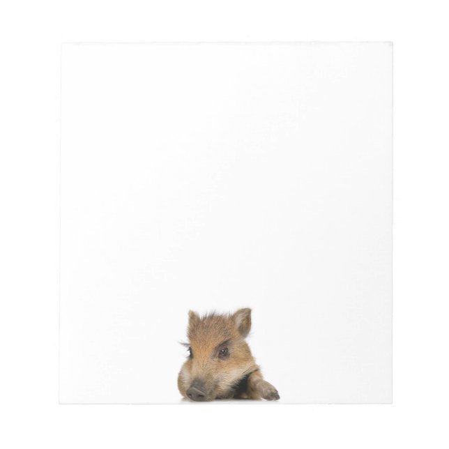 Bloco De Notas Baby Warthog (Frente)