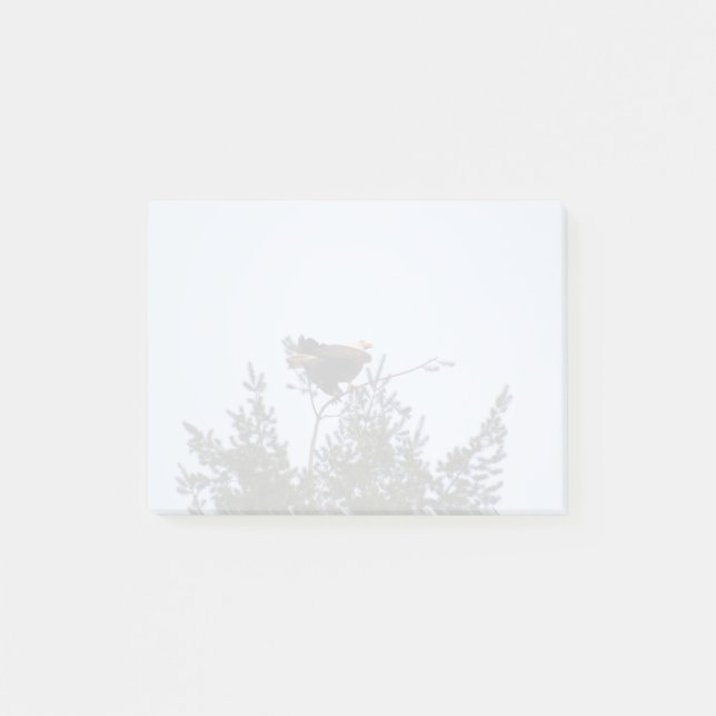 Bloco De Notas Bald Eagle (Frente)