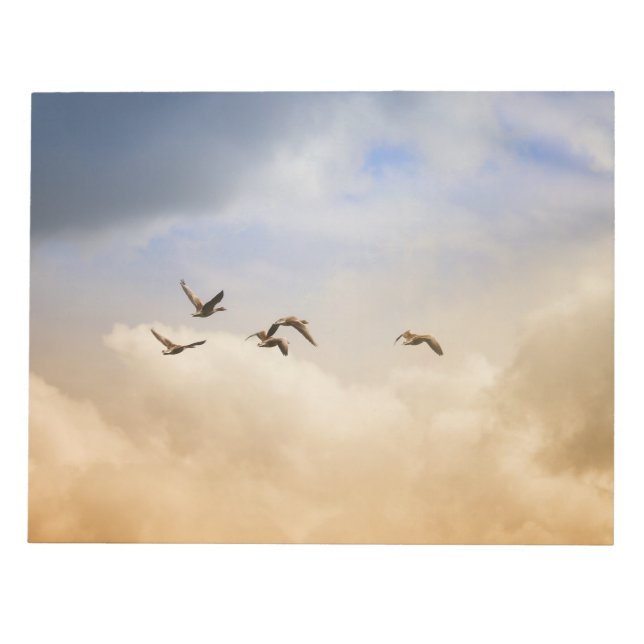 Bloco De Notas Bando de Aves em Voo (Frente)