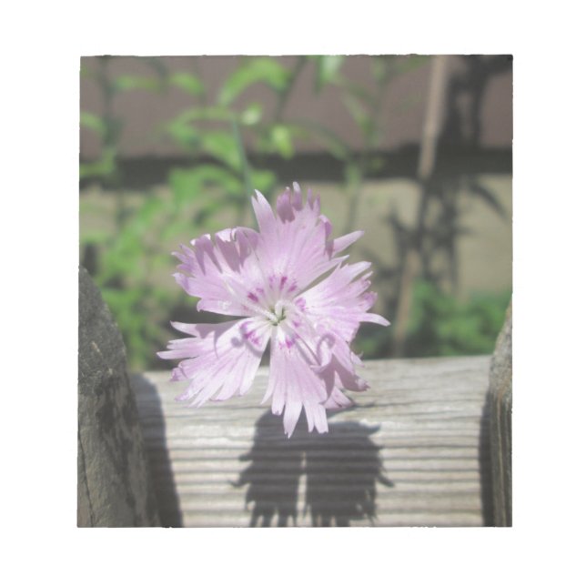 Bloco De Notas Banhos Rosa Dianthus na Cerca (Frente)