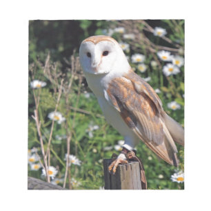 Bloco De Notas Barn Owl