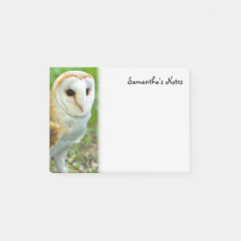 Bloco De Notas Barn Owl - Notas de Posto