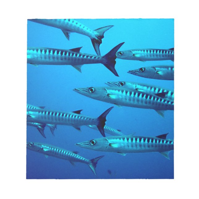 Bloco De Notas barracuda mergulho mar profundo água oceano tropic (Frente)