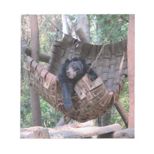 Bloco De Notas Barramento Sonolento Hammock Park Forest Rastreio