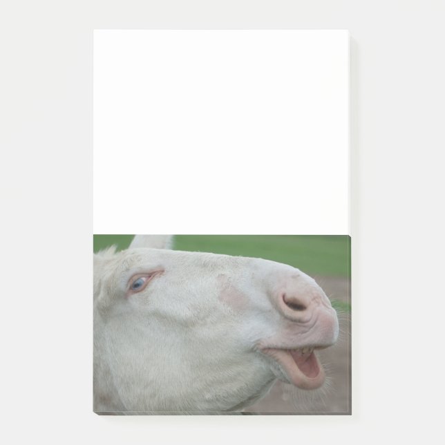 Bloco De Notas Barroco Branco Donkey (Frente)