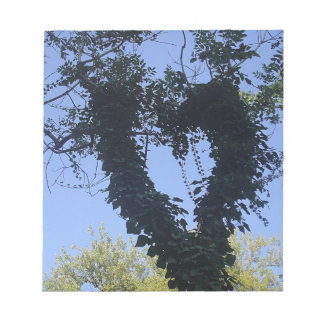 Bloco De Notas Baumherz